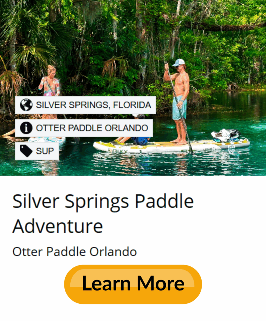 Things to do near Orlando - Silver Springs Paddleboard Tours