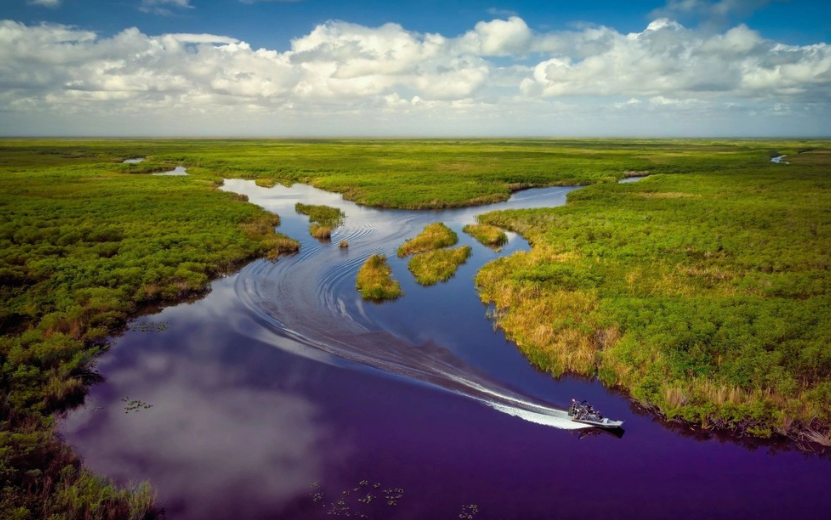 Best Things to Do in Orlando - Airboat Tours
